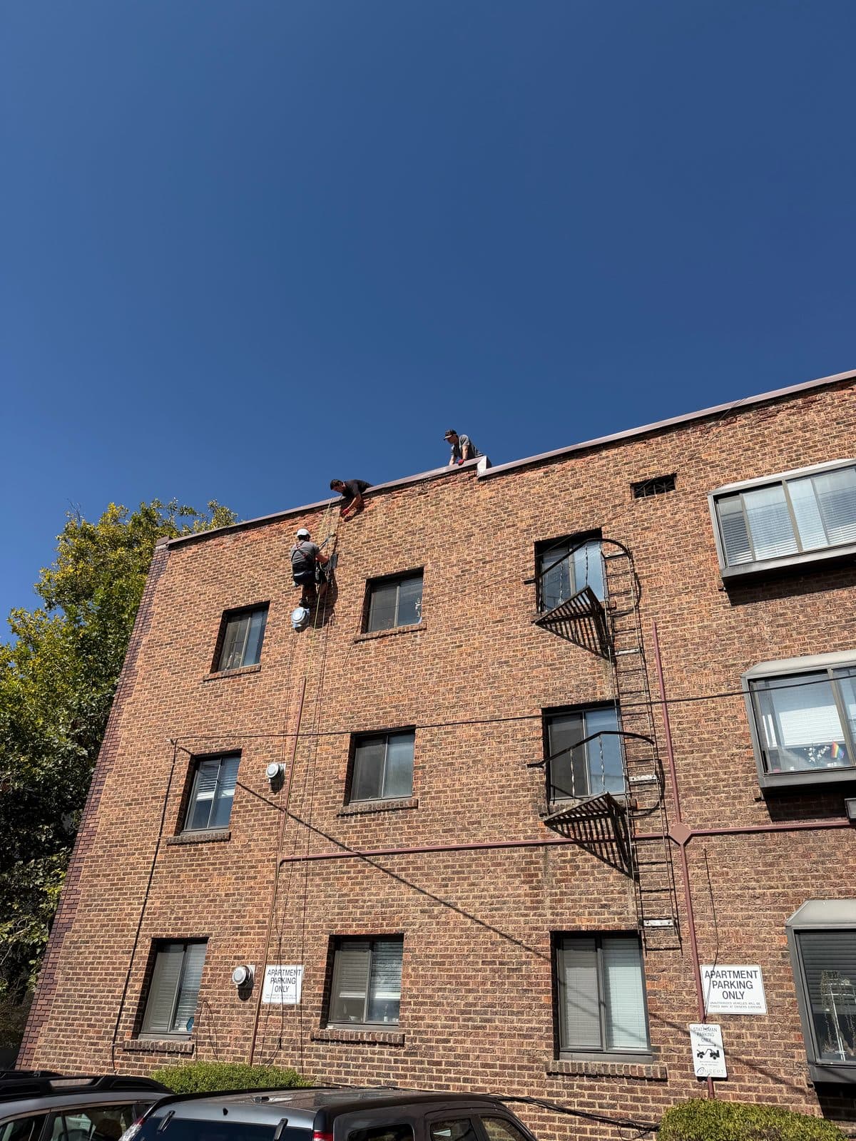 Commercial rope-access bat work on a brick building under clear sky