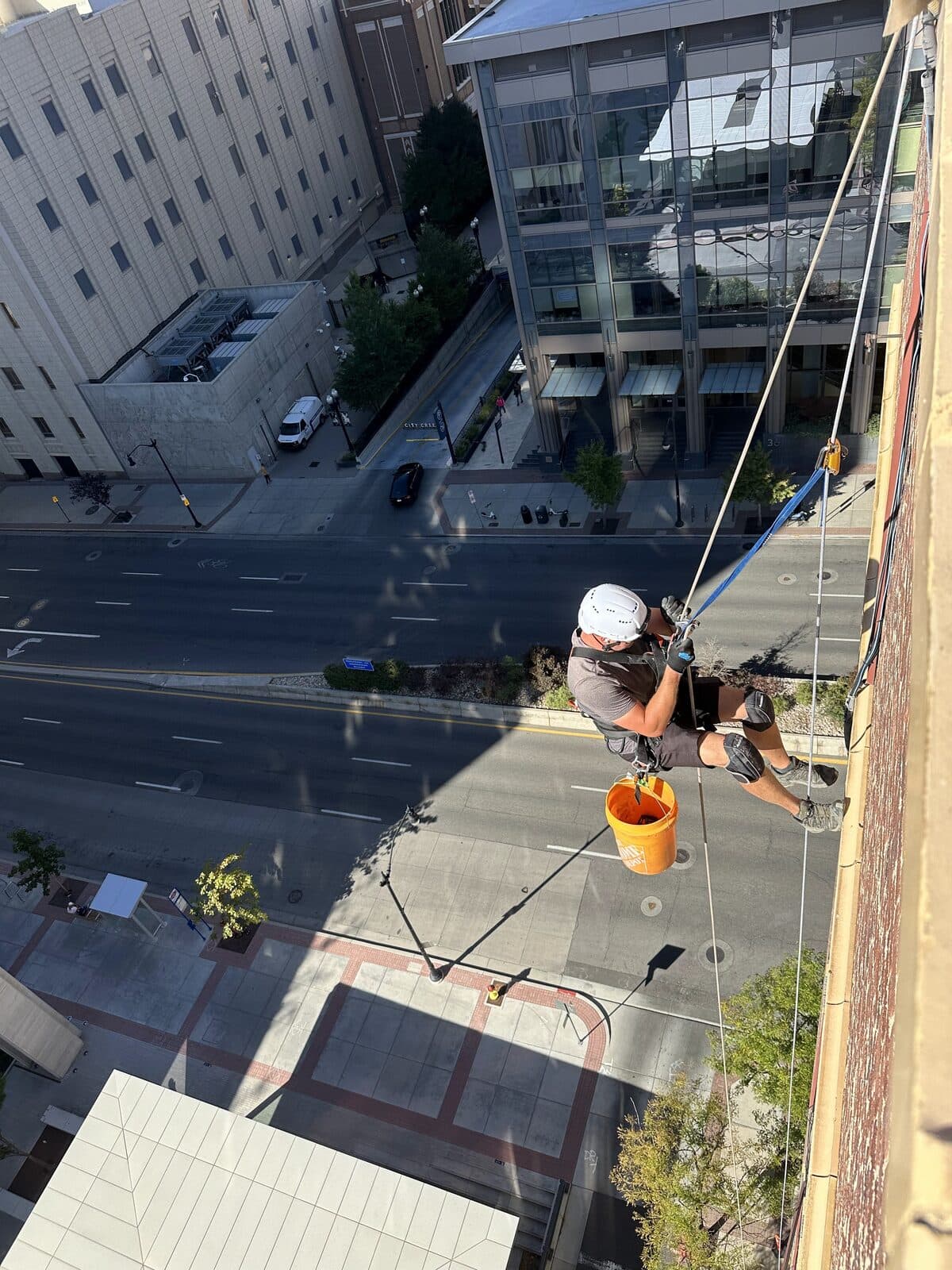 Rope-access bat exclusion on a multi-story building over a city street