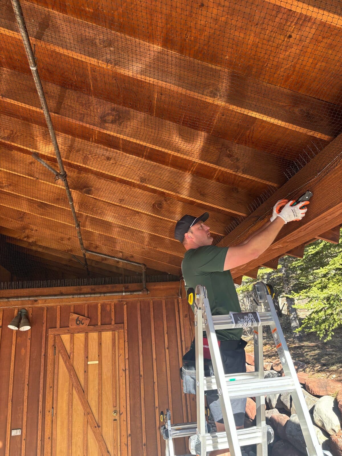 Technician installing one-way exclusion netting under a wood soffit