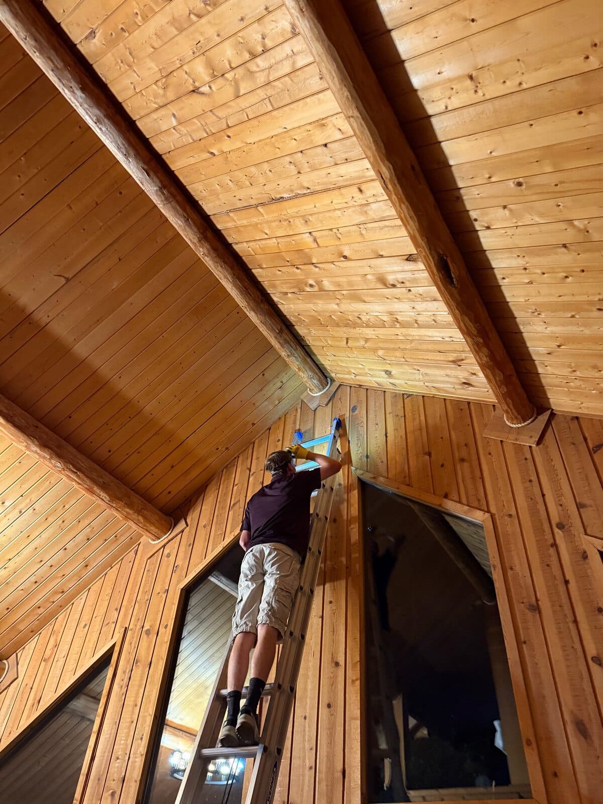 Technician inspecting a wood attic during bat work